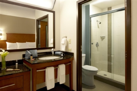 Hyatt Place Sterling Dulles Airport North , VA 20166 near Washington Dulles International Airport View Point 28