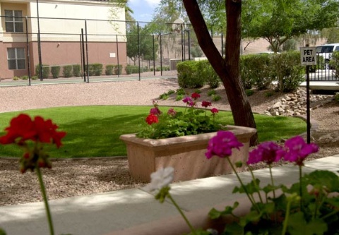 Residence Inn by Marriott Phoenix Airport , AZ 85008 near Sky Harbor International Airport View Point 7