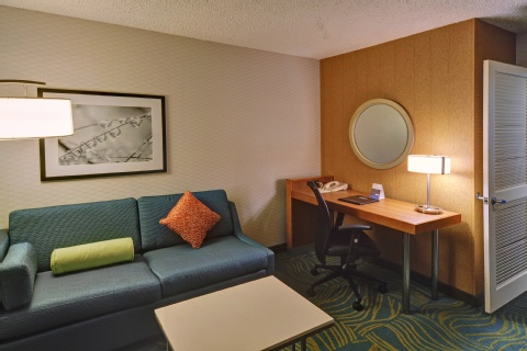 SpringHill Suites by Marriott Dallas NW Highway at Stemmons / I-35East , TX 75220 near Dallas Love Field Airport View Point 12
