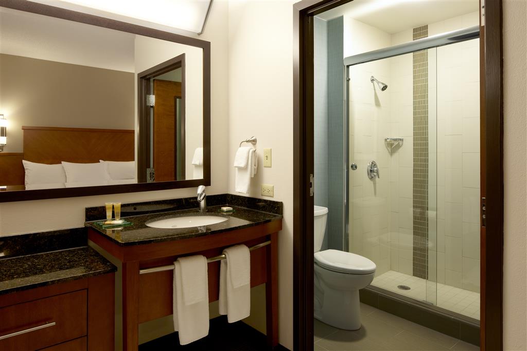 Hyatt Place Charlotte Airport/Lake Pointe , NC 28217 near Charlotte/douglas International Airport View Point 25