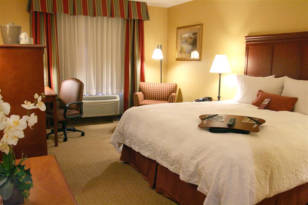 Hampton Inn & Suites Los Angeles Burbank Airport , CA 91504 near Hollywood Burbank Airport View Point 20