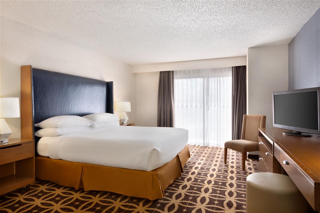 Embassy Suites by Hilton Dallas DFW Airport South , TX 75062 near Dallas-fort Worth International Airport View Point 27