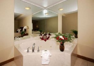 Clarion Hotel Detroit Metro Airport , MI 48174 near Detroit Metropolitan Wayne County Airport View Point 6