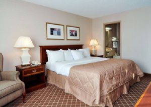 Clarion Hotel Detroit Metro Airport , MI 48174 near Detroit Metropolitan Wayne County Airport View Point 8