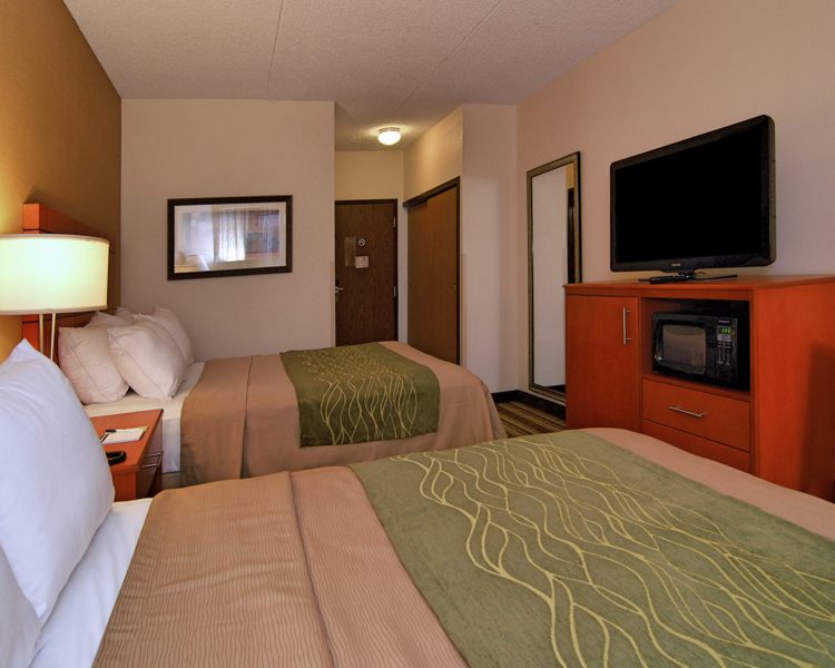 Comfort Inn Metro Airport Romulus , MI 48174 near Detroit Metropolitan Wayne County Airport View Point 9