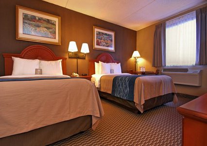 Comfort Inn University , NY 14226 near Buffalo Niagara International Airport View Point 4