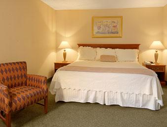 Holiday Inn Indianapolis Airport N.  , IN 46241 near Indianapolis International Airport View Point 4