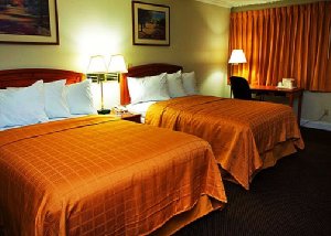 Quality Inn Airport Jacksonville , FL 32229 near Jacksonville International Airport View Point 5