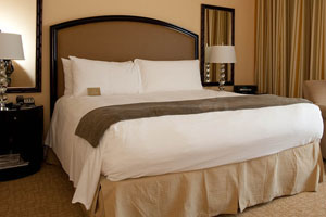 The Sohotel