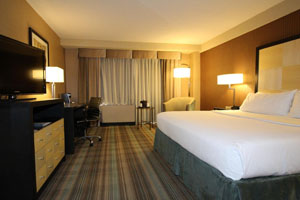 Holiday Inn Arpt Stadium Area