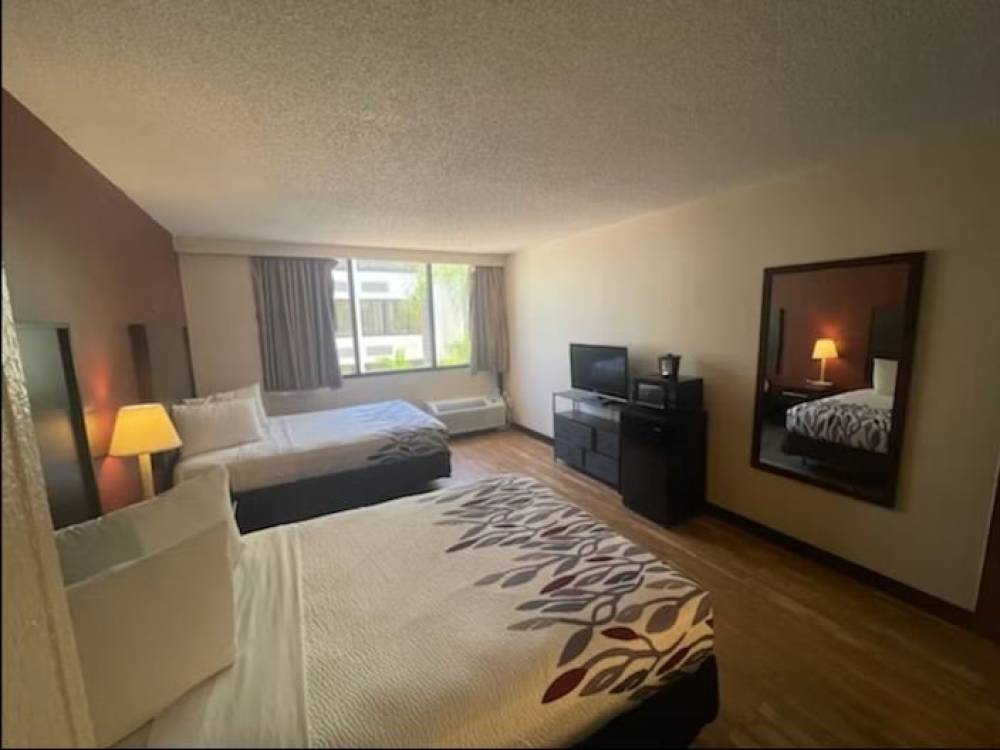 Tropical Palms Hotel 5